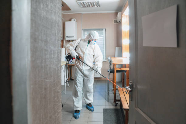 Best Forensic Mold Investigation  in Emerd Mountain, AL