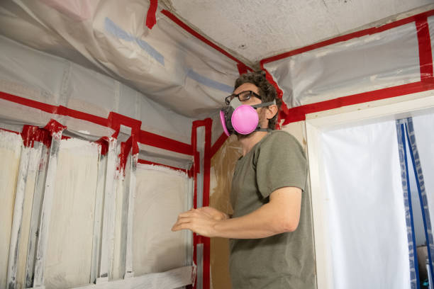 Biohazard Mold Removal in Emerald Mountain, AL