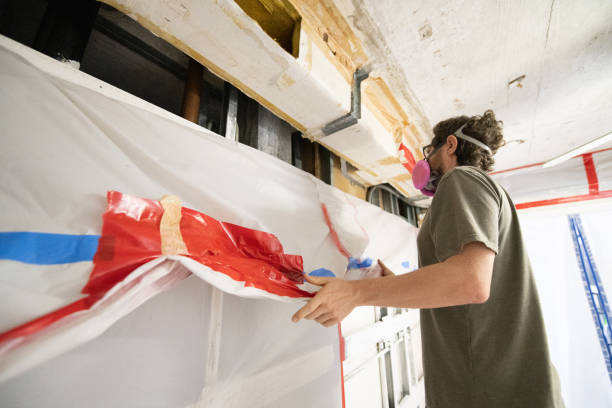 Mold Odor Removal Services in Emerald Mountain, AL