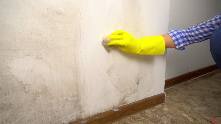 Best Mold-Related Health Consultation  in Emerd Mountain, AL