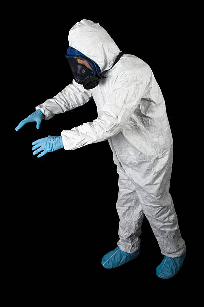 Asbestos and Lead Testing During Mold Inspection in Emerald Mountain, AL
