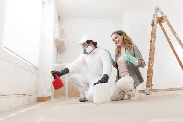Best Basement Mold Removal  in Emerd Mountain, AL