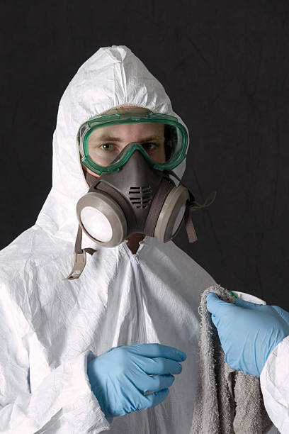 Trusted Emerald Mountain, AL Mold Removal Experts